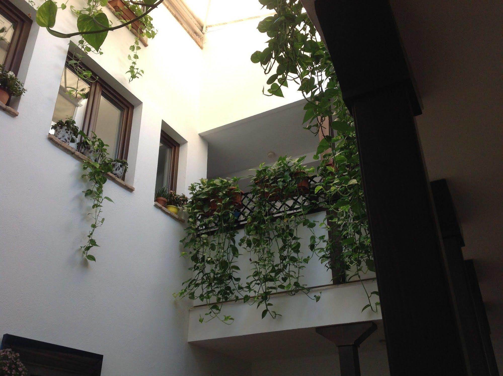 Hotel Boutique Alma Andalusi Κόρδοβα Εξωτερικό φωτογραφία