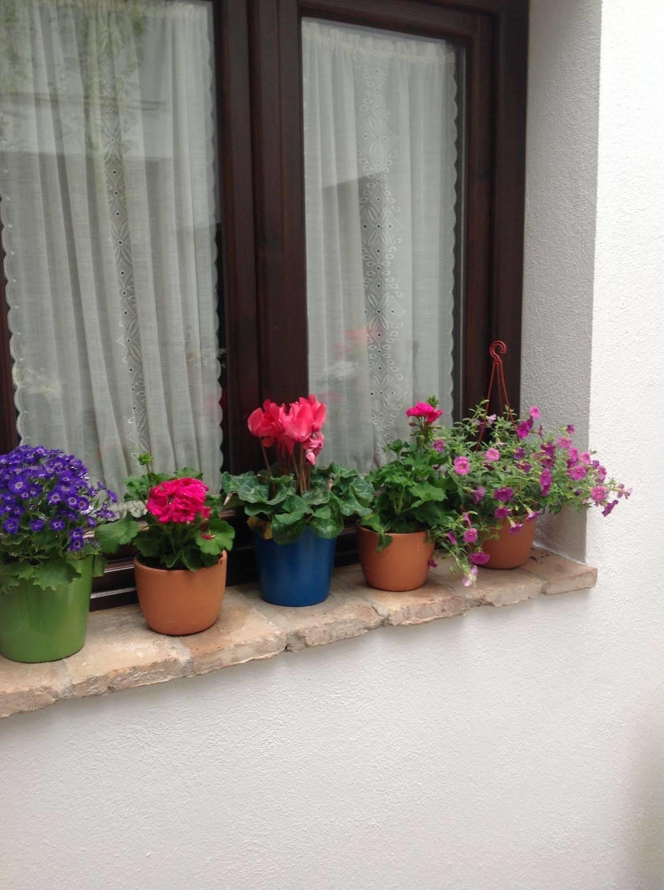 Hotel Boutique Alma Andalusi Κόρδοβα Εξωτερικό φωτογραφία